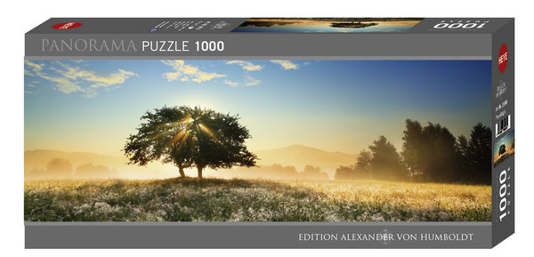 Puzzle Humboldt Edition: Play of Light