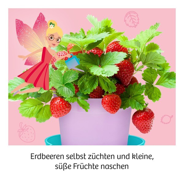 Mitbringexperiment: Feen - Erdbeeren