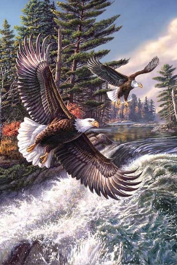 Puzzle James Meger Art: Adler über dem Fluß
