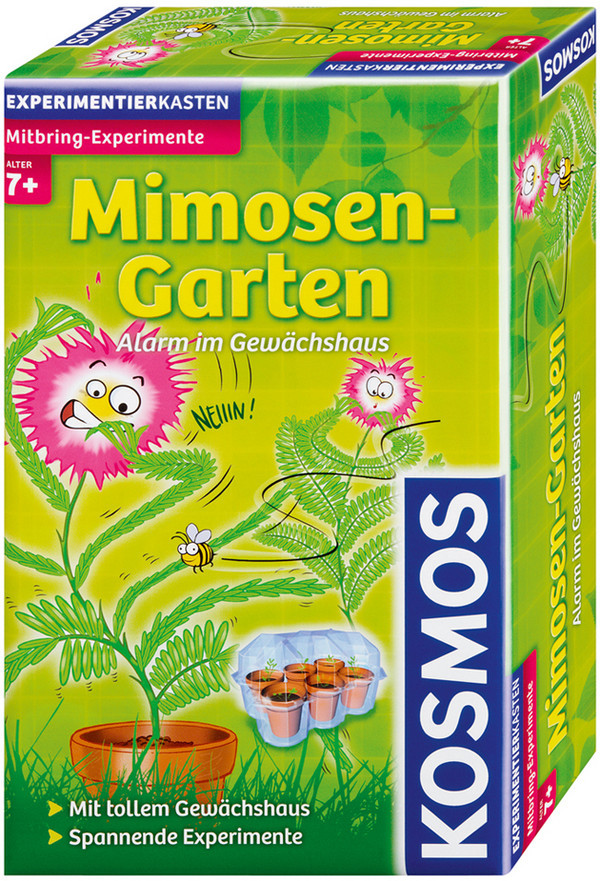 Mitbringexperiment: Mimosen-Garten