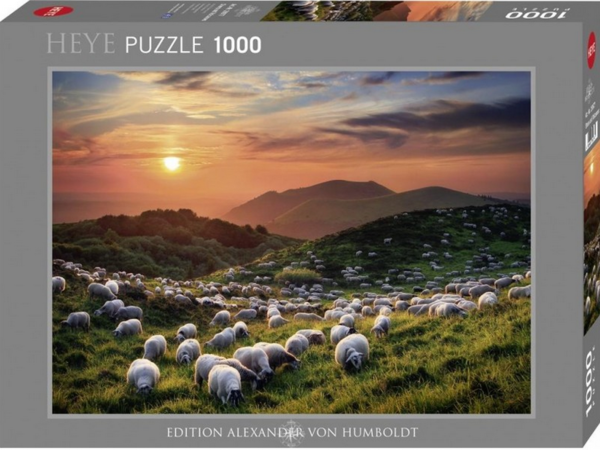 Puzzle Humboldt Edition: Iceland Horses