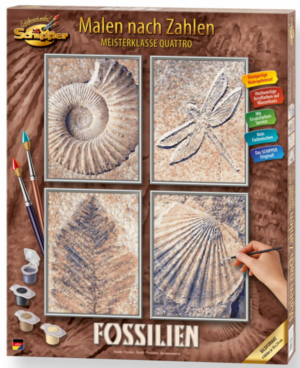 Malen nach Zahlen: Fosilien